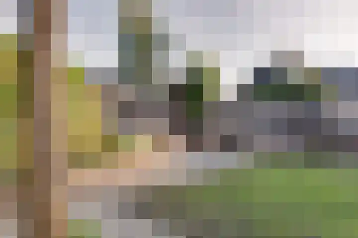 De Sperwer 3 Surhuisterveen thumbnail 45