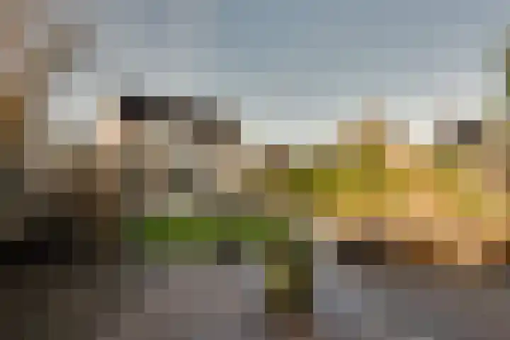 De Sperwer 3 Surhuisterveen thumbnail 47