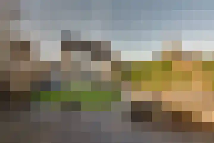 De Sperwer 3 Surhuisterveen thumbnail 48