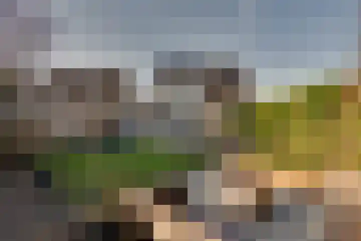 De Sperwer 3 Surhuisterveen thumbnail 49