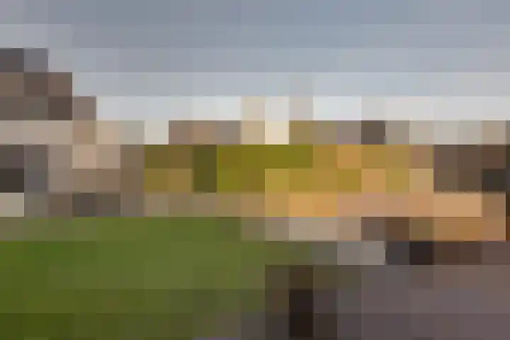 De Sperwer 3 Surhuisterveen thumbnail 50