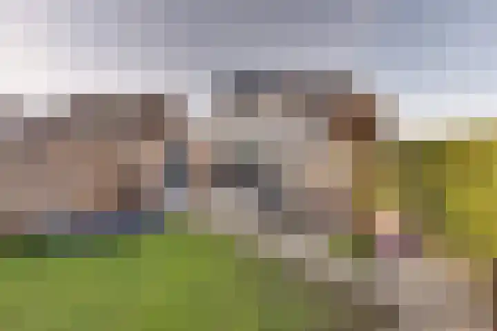 De Sperwer 3 Surhuisterveen thumbnail 51