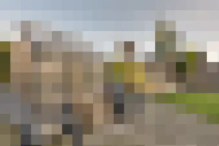 De Sperwer 3 Surhuisterveen thumbnail 52