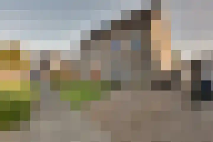 De Sperwer 3 Surhuisterveen thumbnail 53