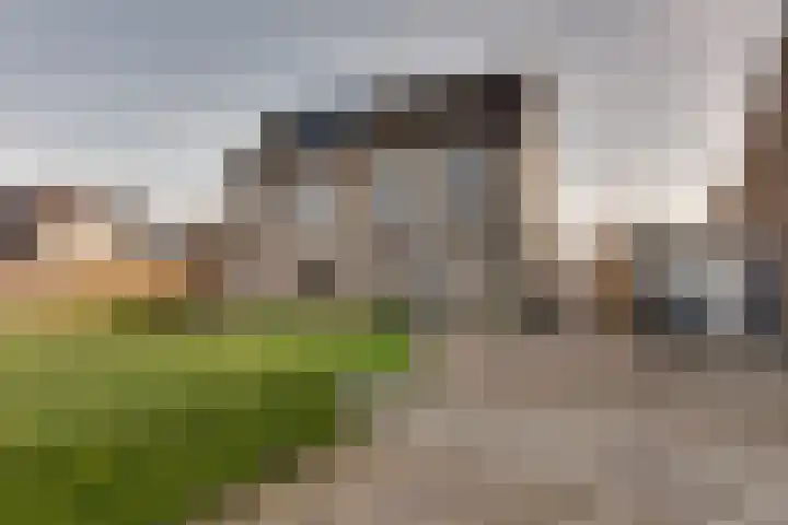 De Sperwer 3 Surhuisterveen thumbnail 54
