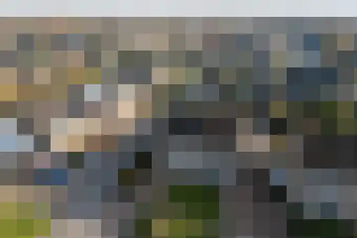 De Sperwer 3 Surhuisterveen thumbnail 55