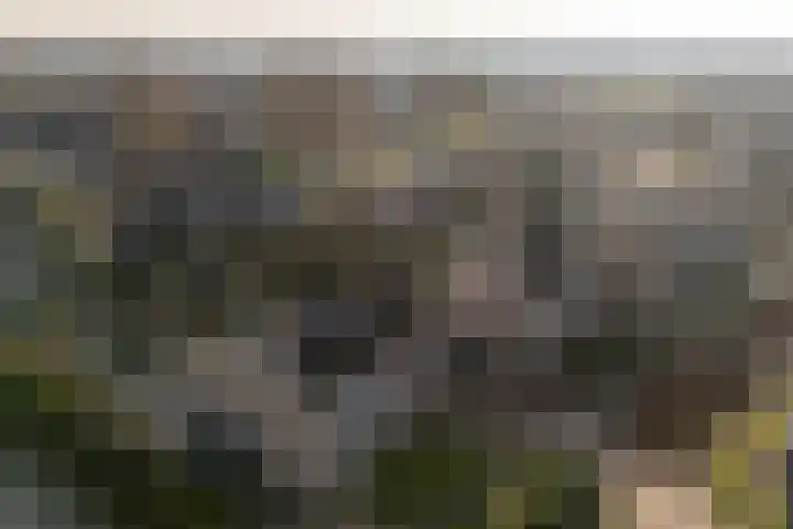 De Sperwer 3 Surhuisterveen thumbnail 56