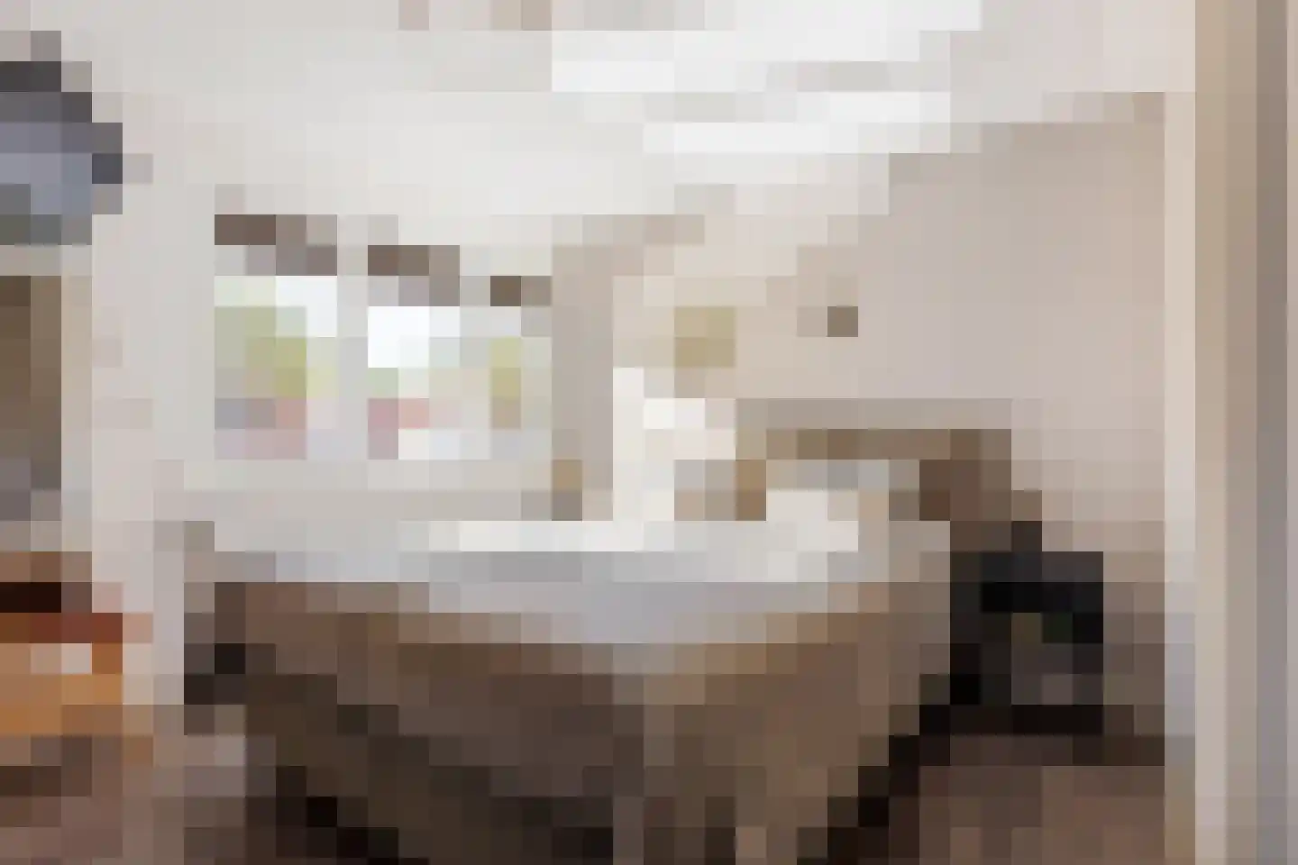 de Sperwer 30 Denekamp thumbnail 16