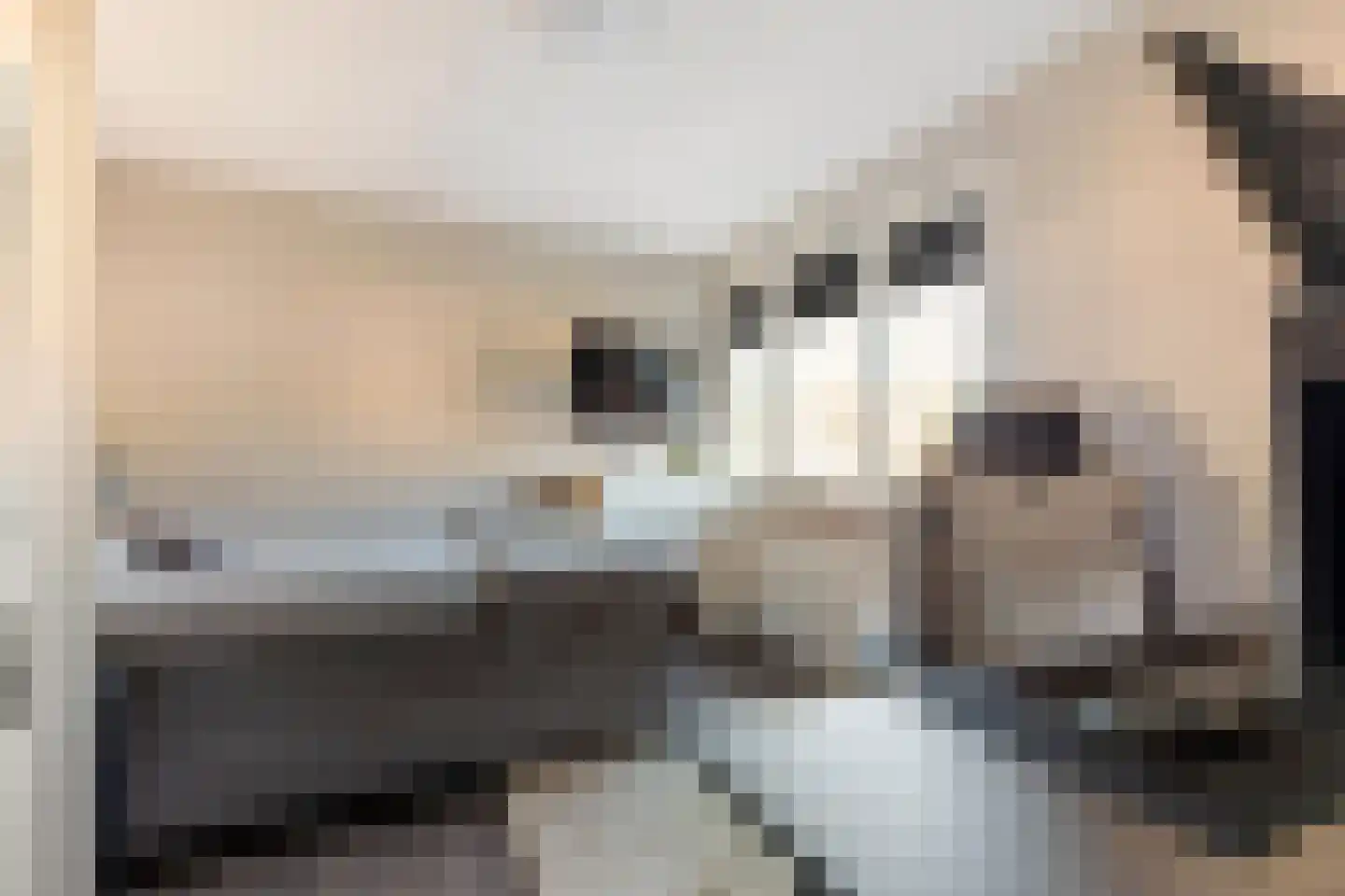 de Sperwer 30 Denekamp thumbnail 17