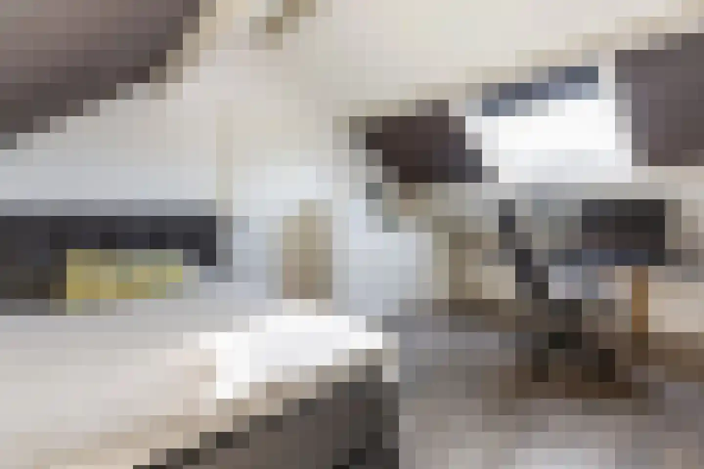 de Sperwer 30 Denekamp thumbnail 19