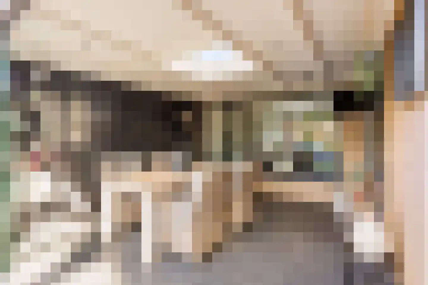de Sperwer 30 Denekamp thumbnail 21