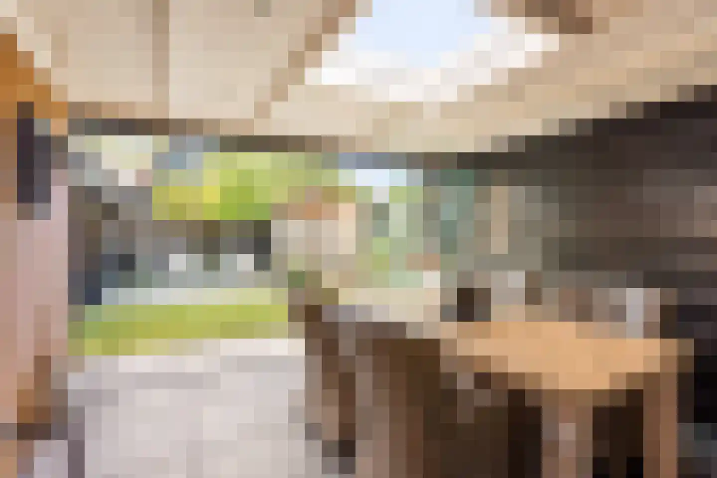de Sperwer 30 Denekamp thumbnail 22
