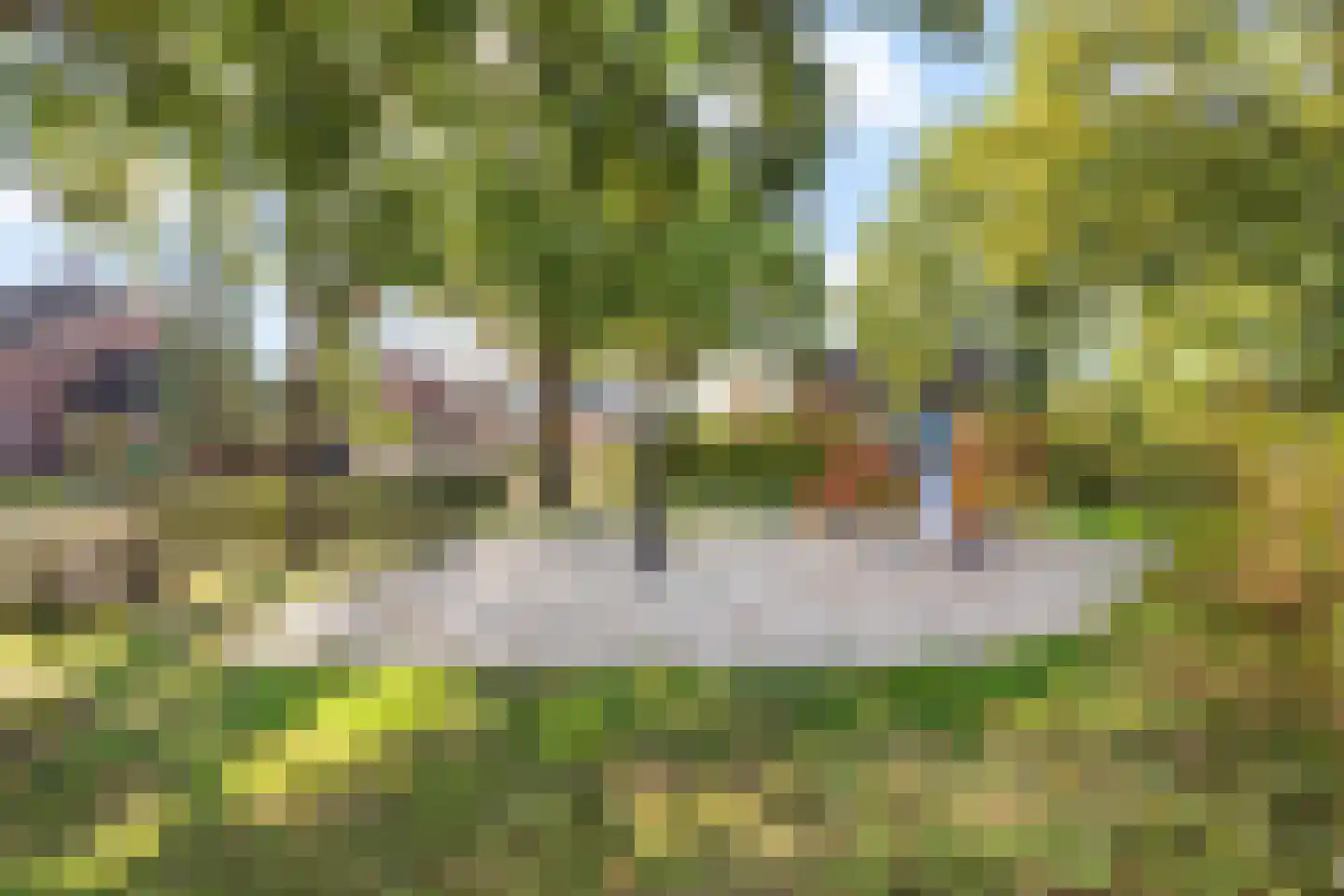 de Sperwer 30 Denekamp thumbnail 24