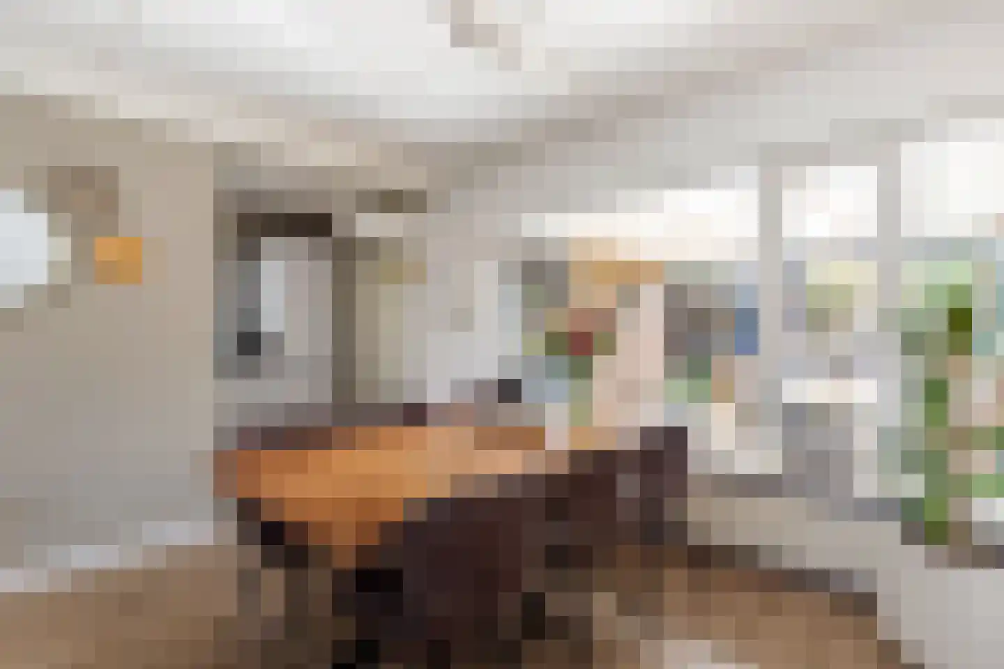 de Sperwer 30 Denekamp thumbnail 4