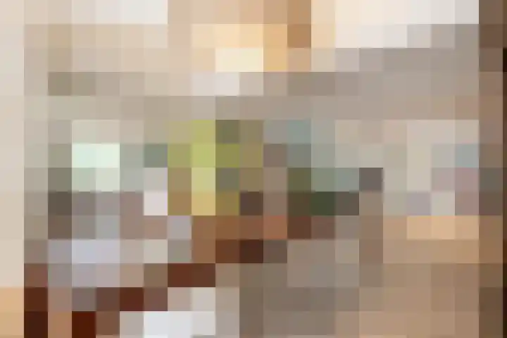 De Spiering 14 Schaijk thumbnail 13