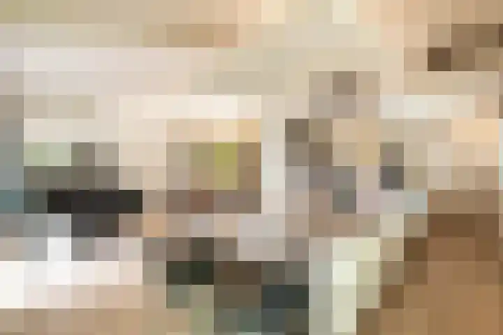 De Spiering 14 Schaijk thumbnail 15