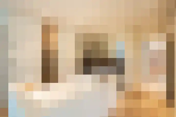 De Spiering 14 Schaijk thumbnail 22