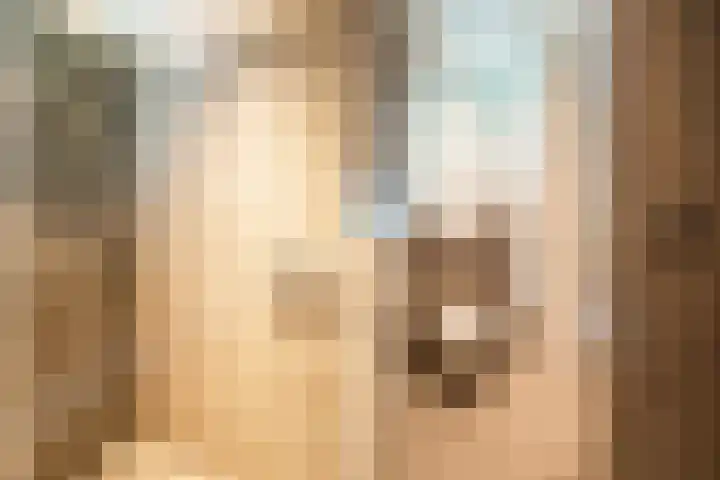 De Spiering 14 Schaijk thumbnail 27