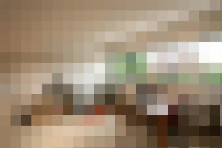 De Spiering 14 Schaijk thumbnail 29