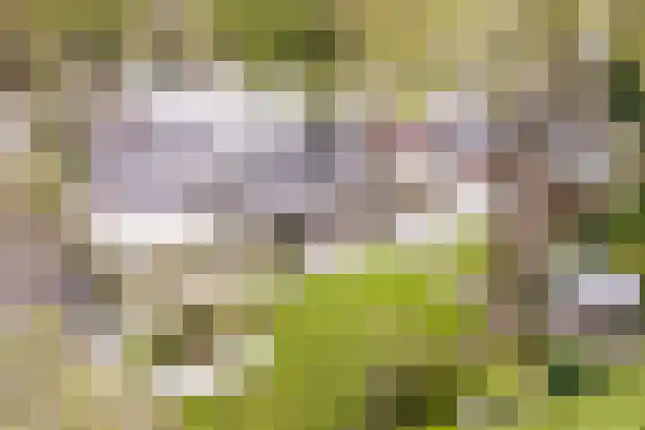 De Spiering 14 Schaijk thumbnail 33