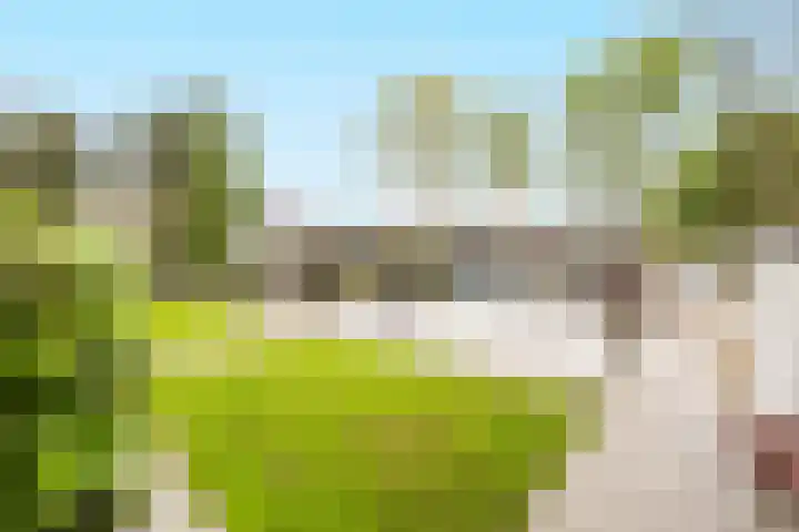 De Spiering 14 Schaijk thumbnail 34