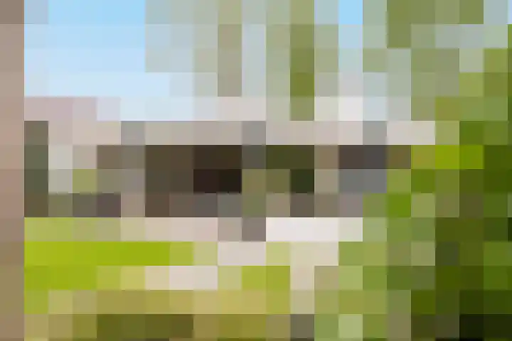 De Spiering 14 Schaijk thumbnail 40