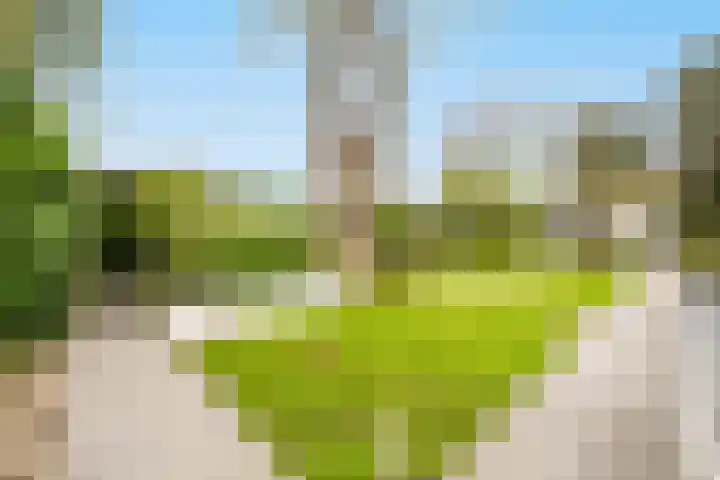 De Spiering 14 Schaijk thumbnail 43