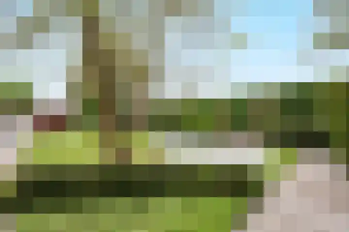 De Spiering 14 Schaijk thumbnail 44