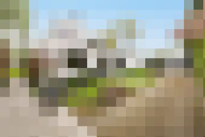De Spiering 14 Schaijk thumbnail 47