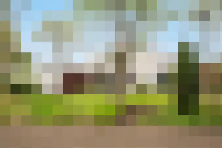 De Spiering 14 Schaijk thumbnail 48
