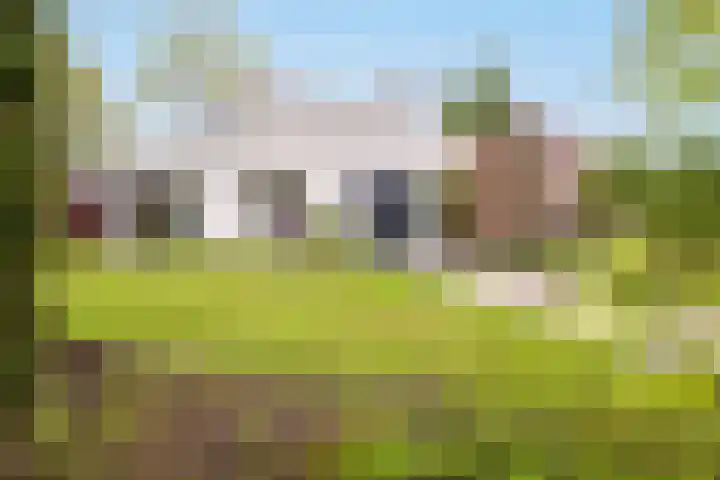 De Spiering 14 Schaijk thumbnail 49