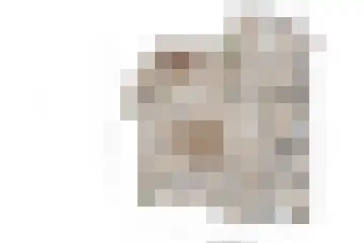 De Spiering 14 Schaijk thumbnail 51
