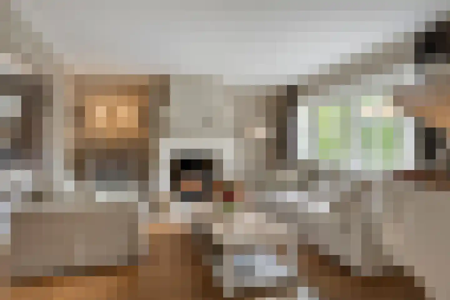 De Spijkert 6 Nuenen thumbnail 15