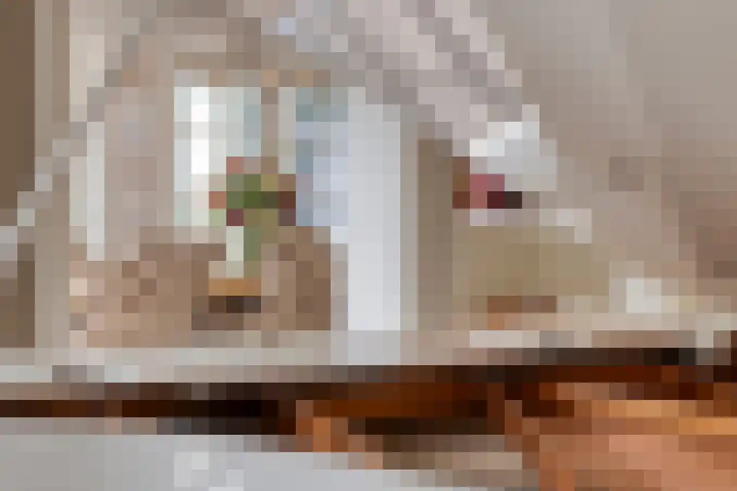 De Spijkert 6 Nuenen thumbnail 20
