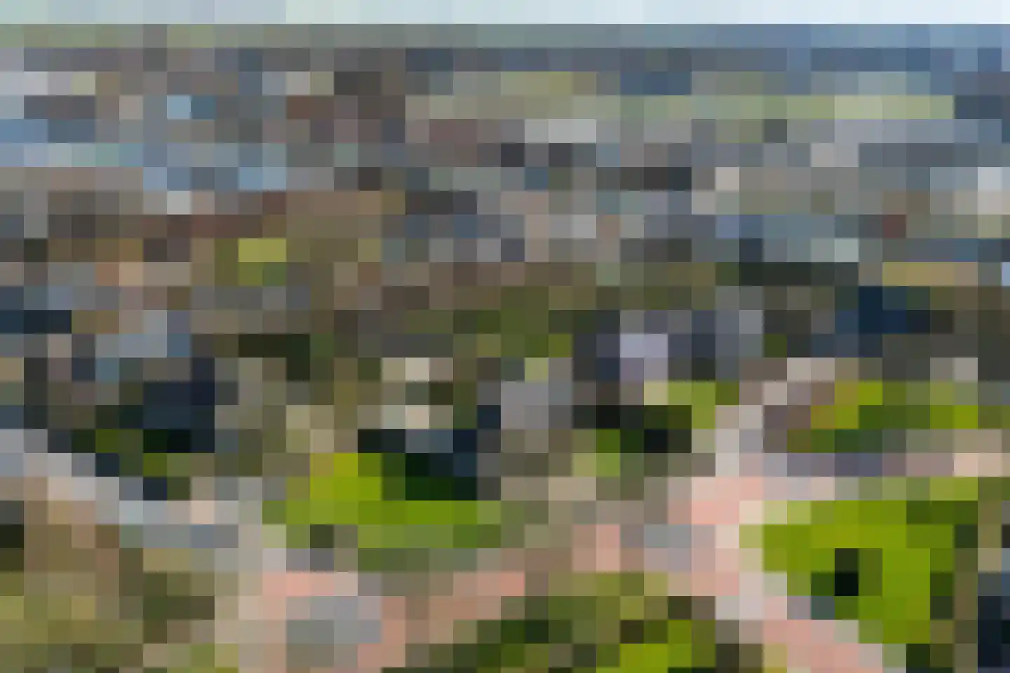 De Spiker 33 Harlingen thumbnail 65