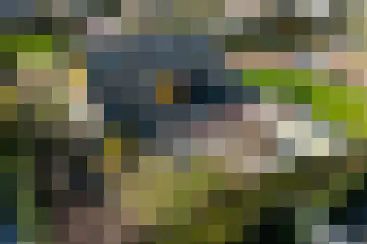 De Spiker 33 Harlingen thumbnail 68
