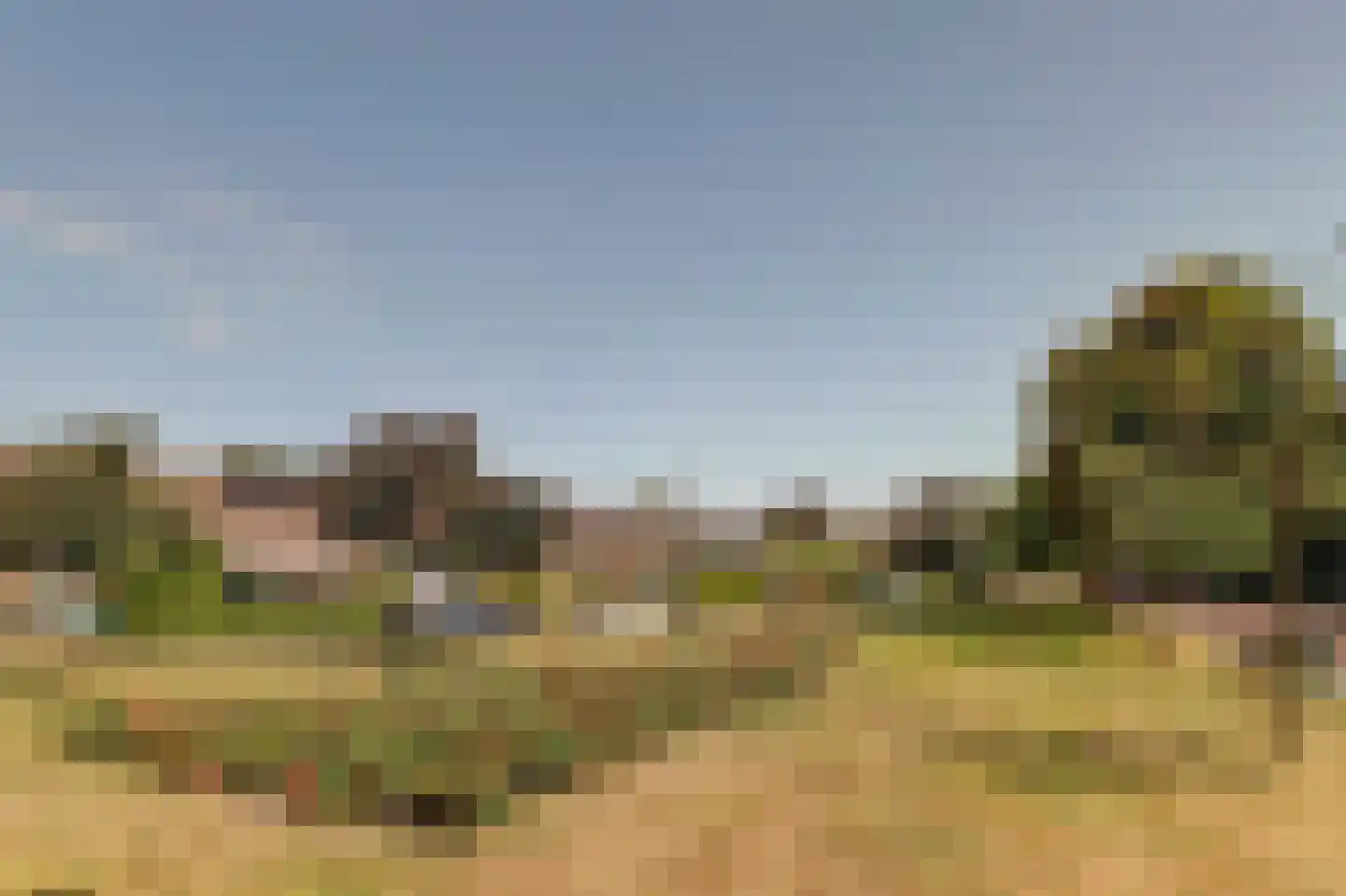 De Spiker 40 Harlingen thumbnail 33