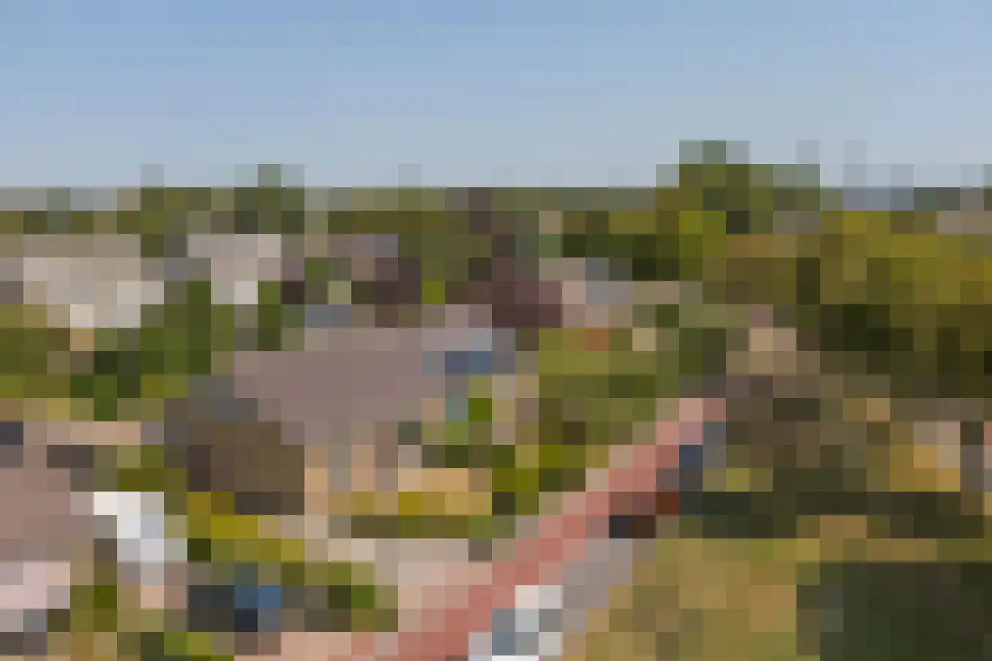 De Spiker 40 Harlingen thumbnail 34