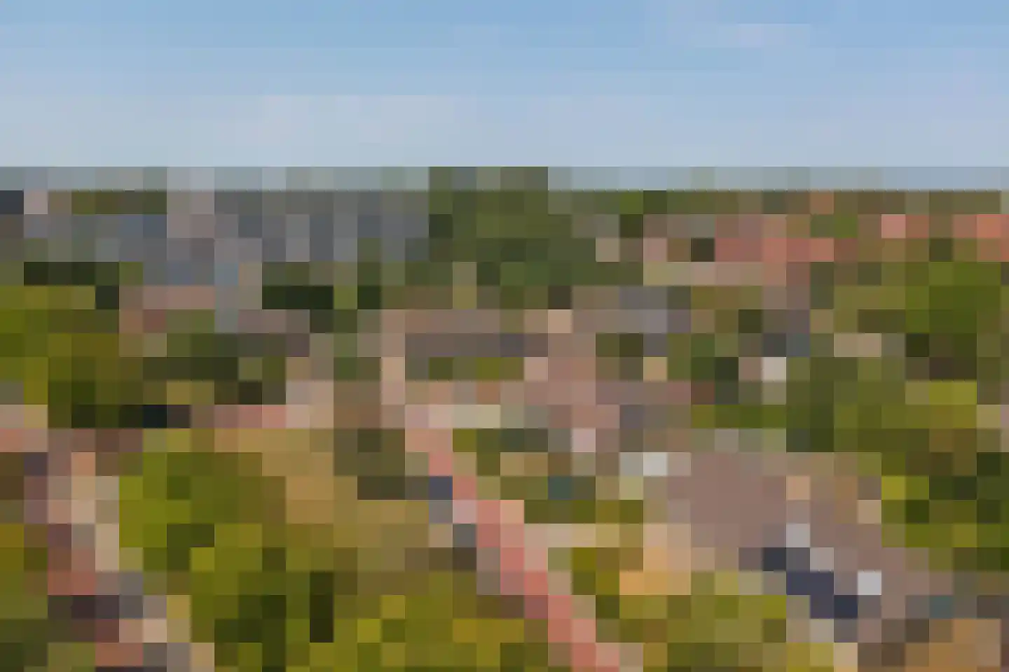 De Spiker 40 Harlingen thumbnail 35