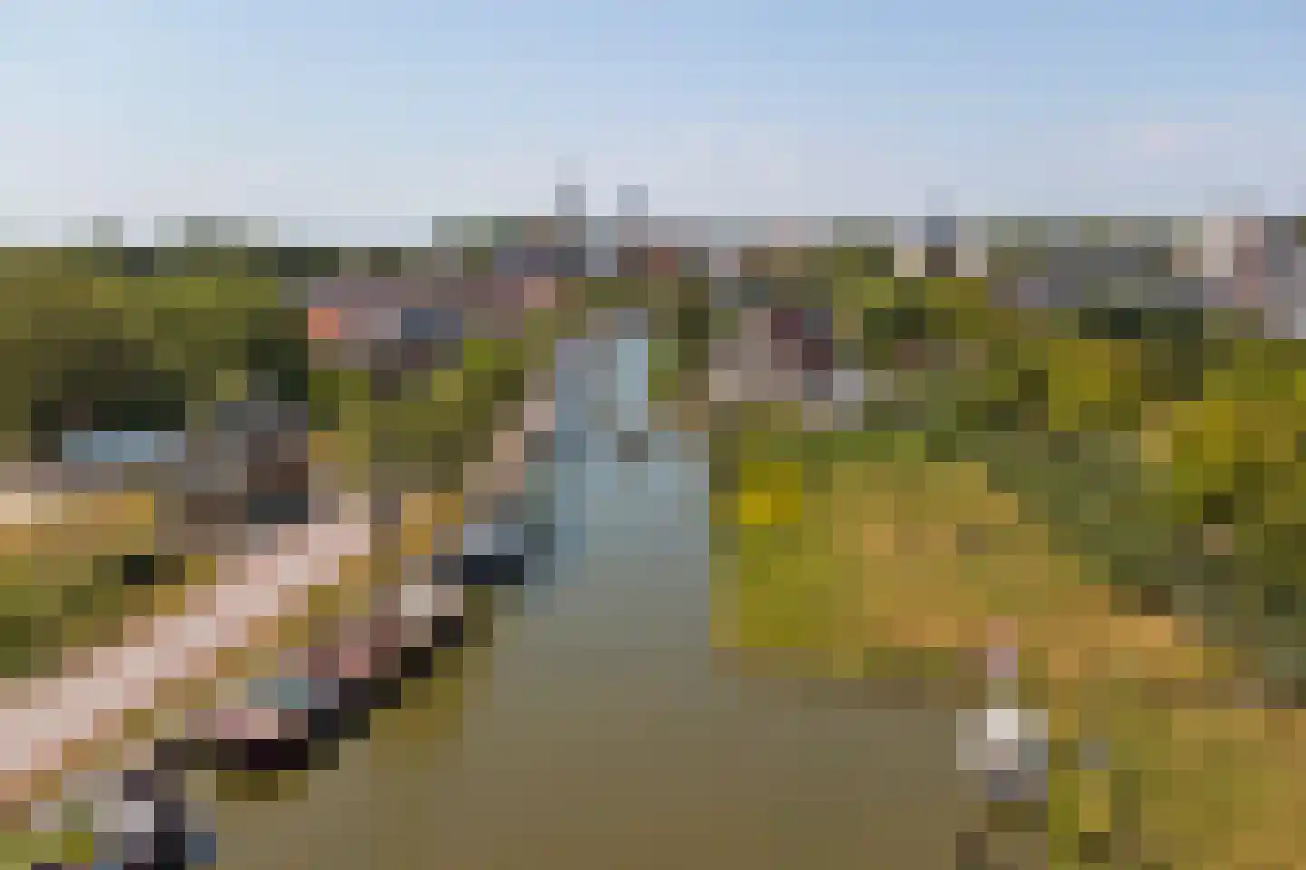 De Spiker 40 Harlingen thumbnail 36