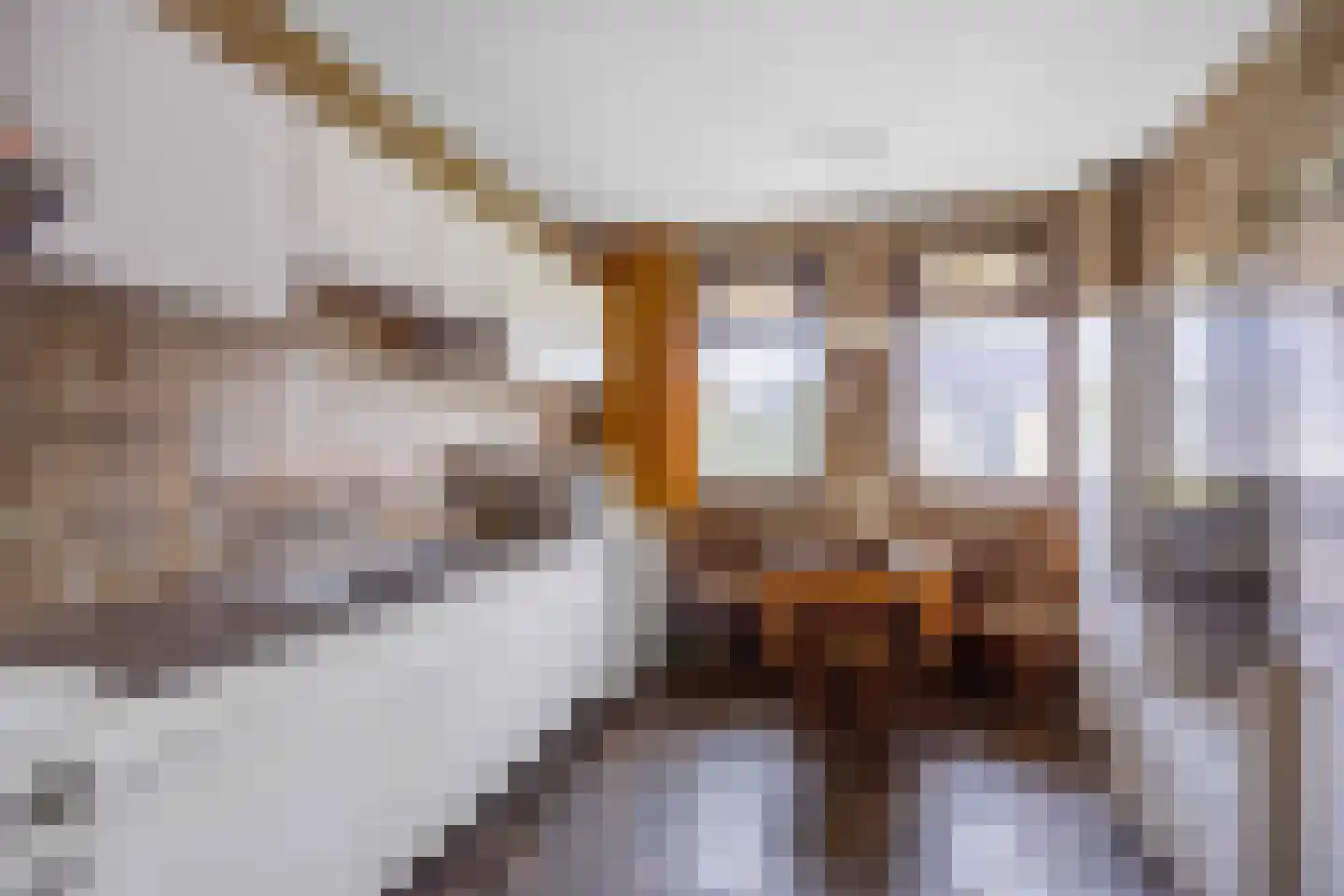 De Spil 1 Buitenpost thumbnail 25