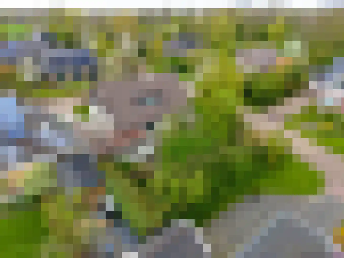 De Spil 1 Buitenpost foto 3
