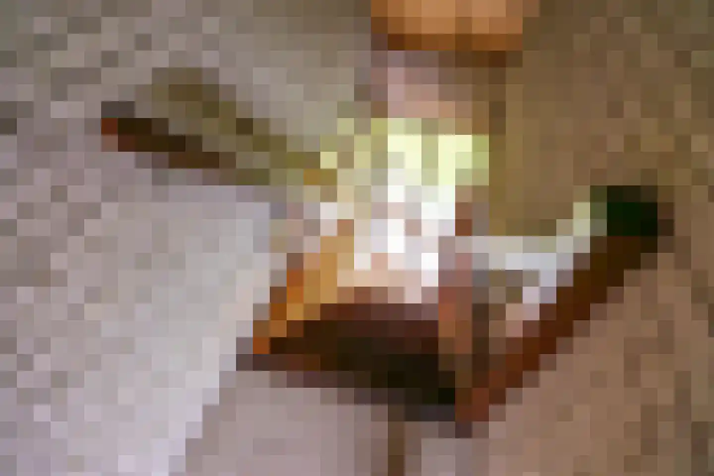 De Spil 1 Buitenpost thumbnail 33