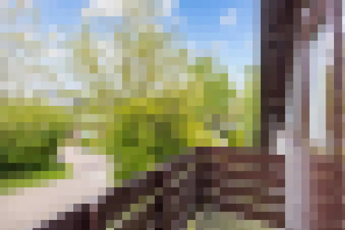 De Spil 1 Buitenpost thumbnail 46