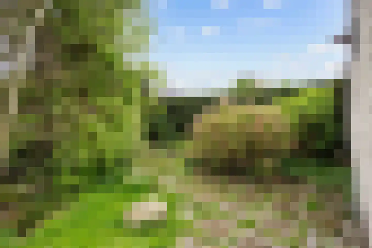 De Spil 1 Buitenpost thumbnail 56