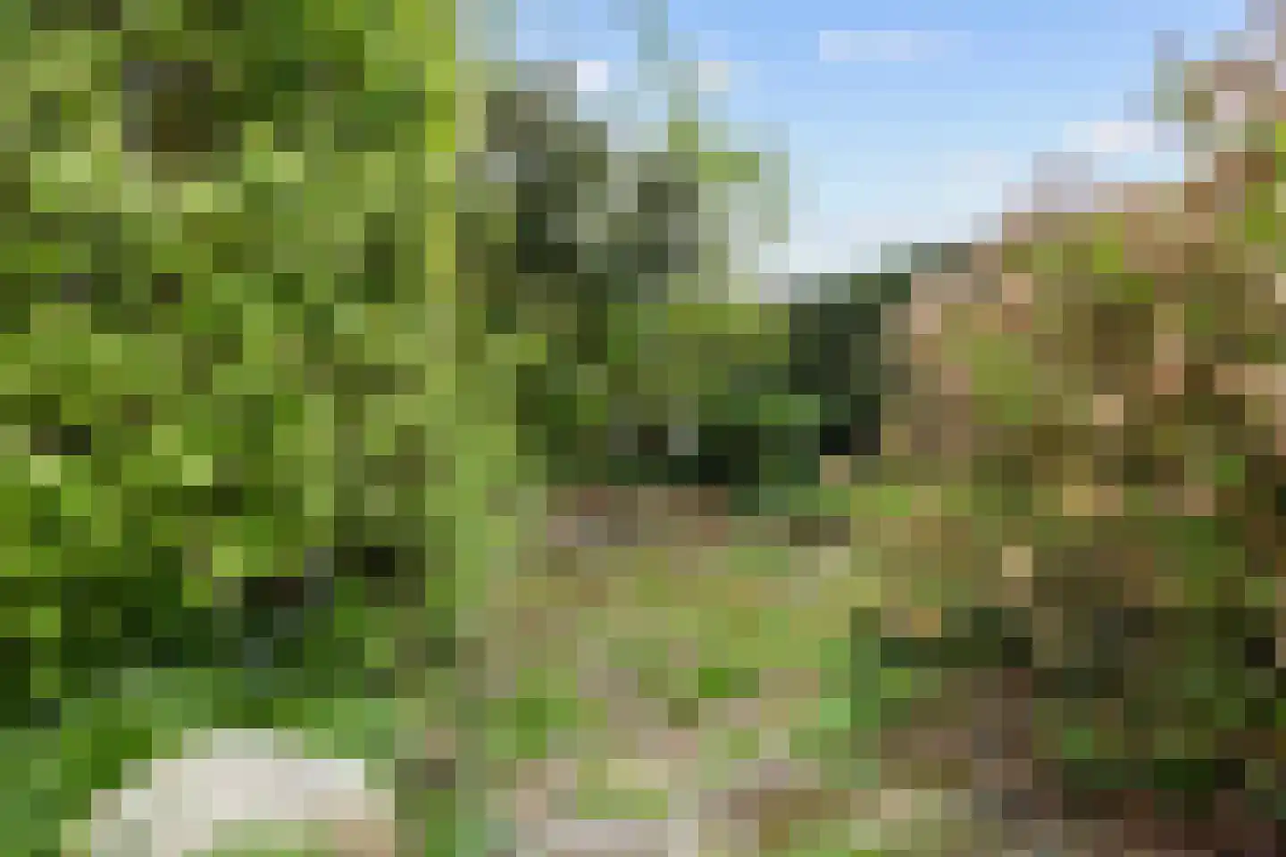 De Spil 1 Buitenpost thumbnail 57