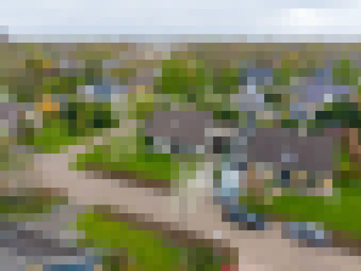 De Spil 1 Buitenpost thumbnail 62