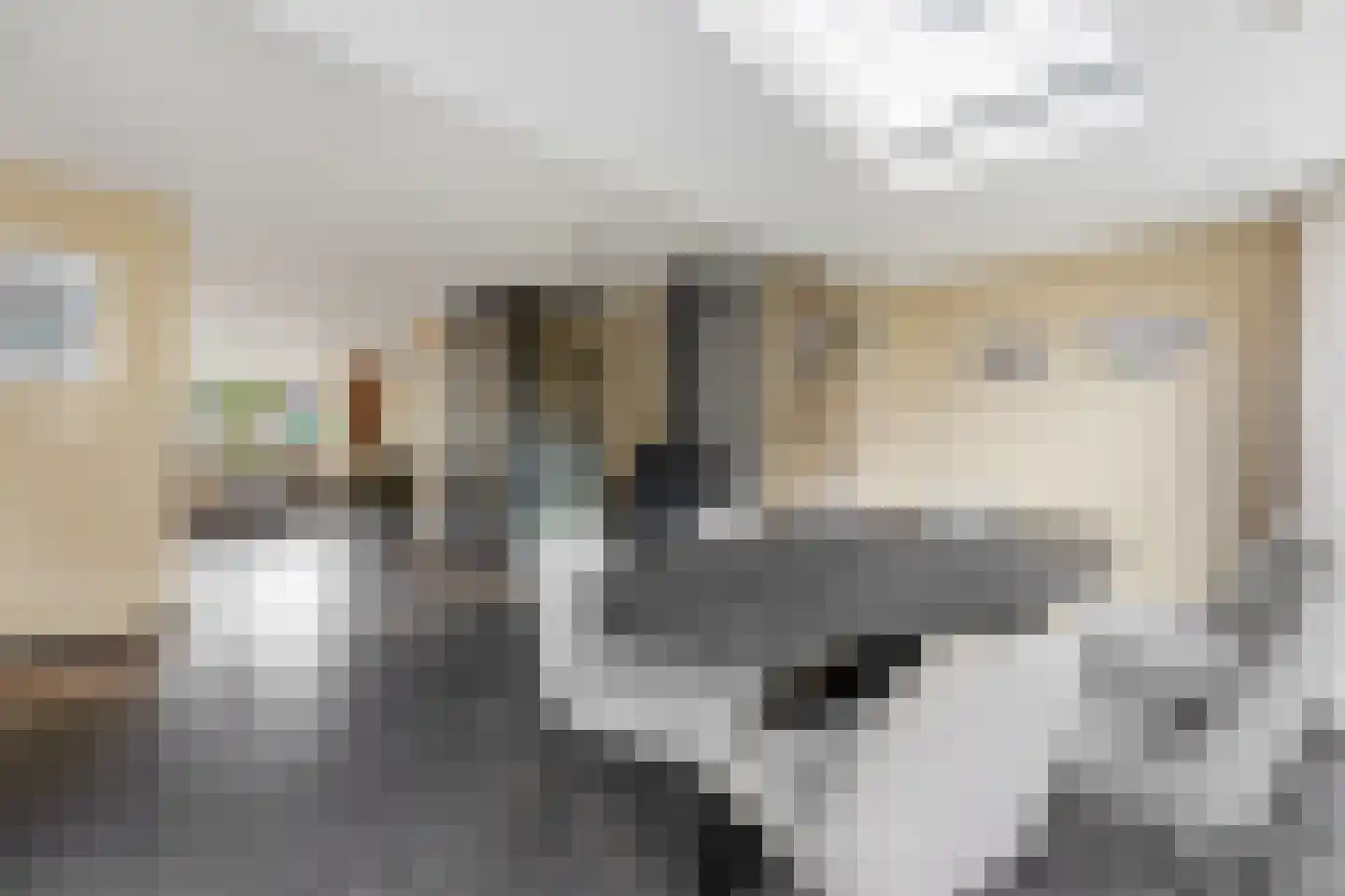 De Spil 18 Alblasserdam thumbnail 14