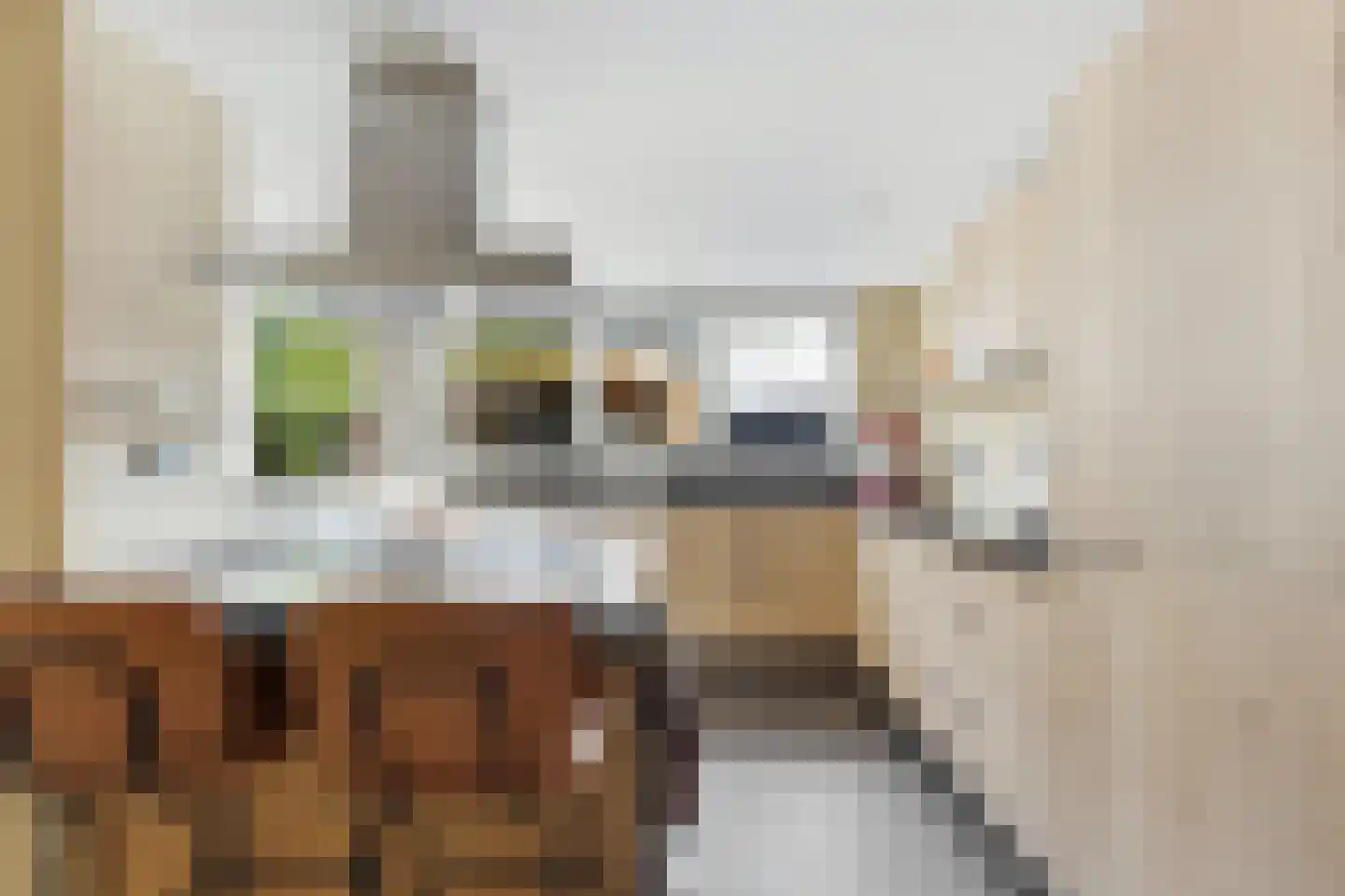 De Spil 18 Alblasserdam thumbnail 17