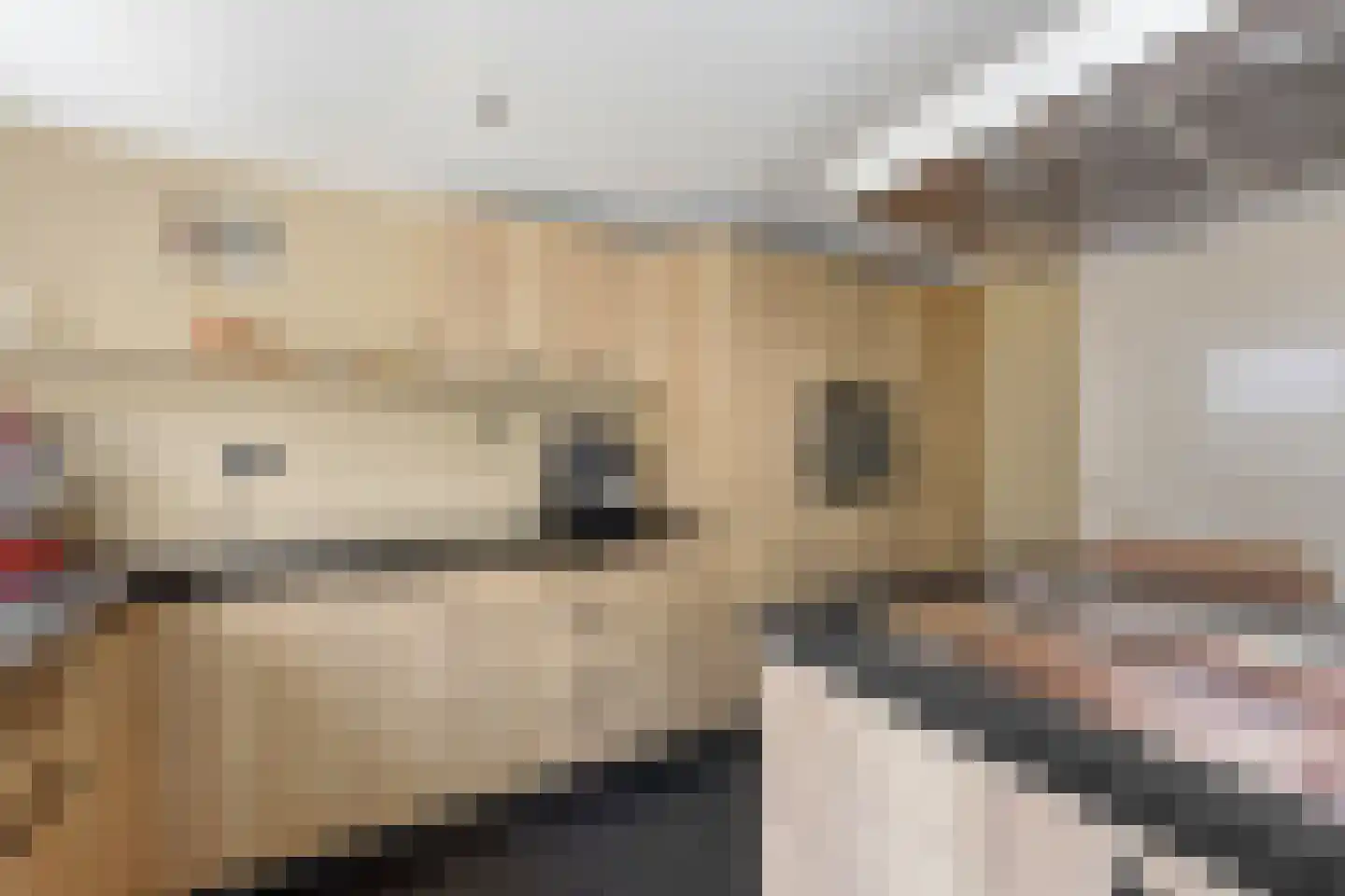 De Spil 18 Alblasserdam thumbnail 20